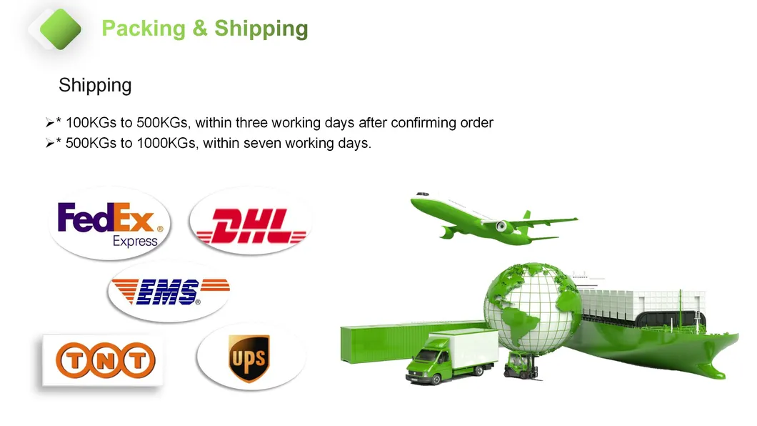 Shipping logistics layout