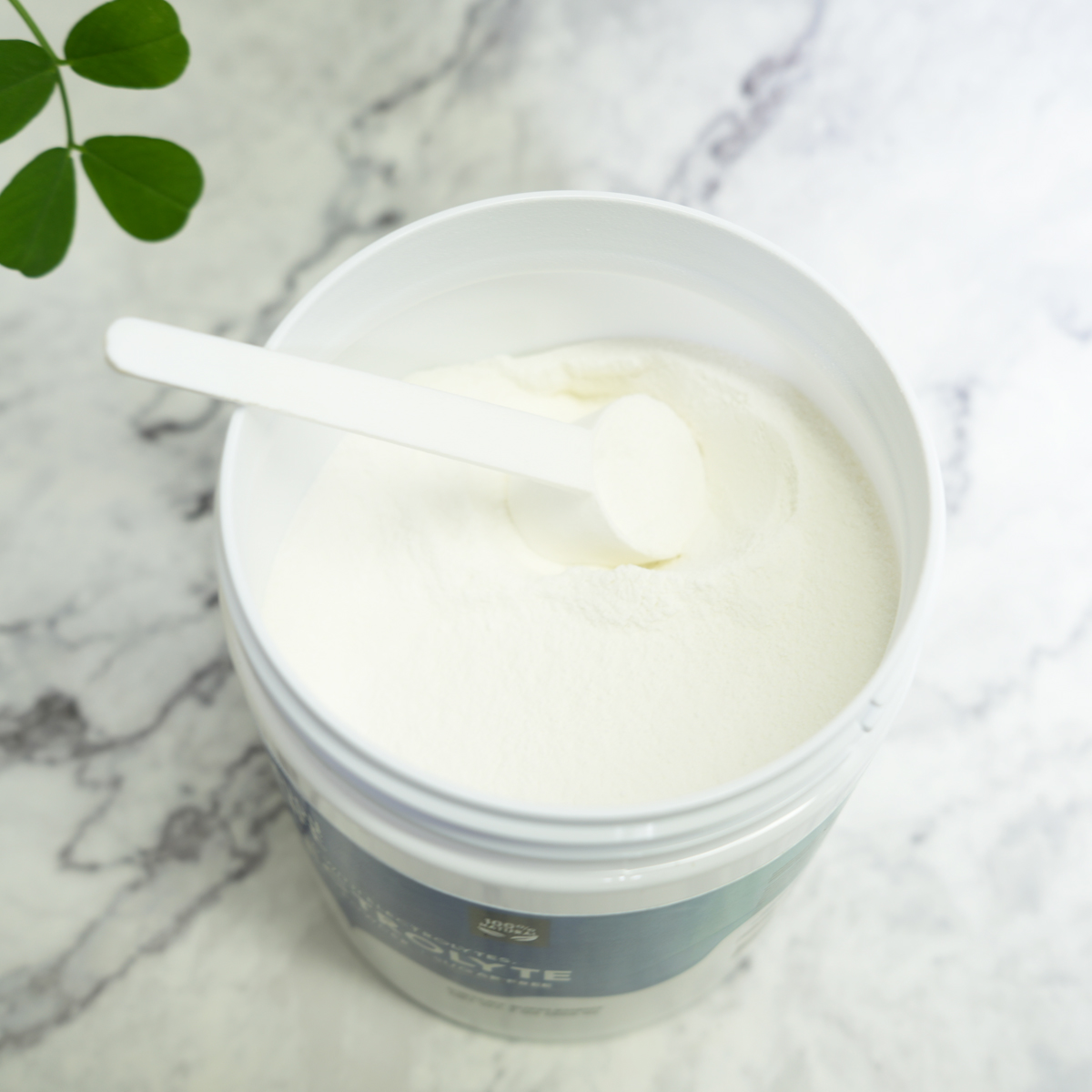Lactobacillus Paracasei Probiotic - Industrial Grade Culture for Dairy and Supplement Production