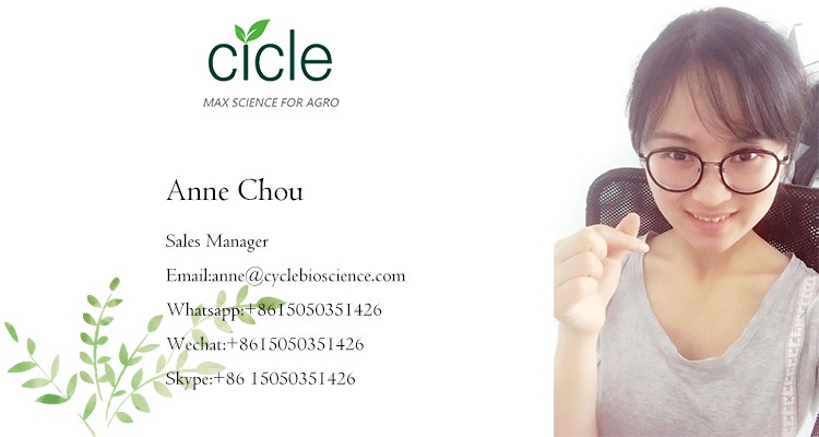 Product Summary Banner