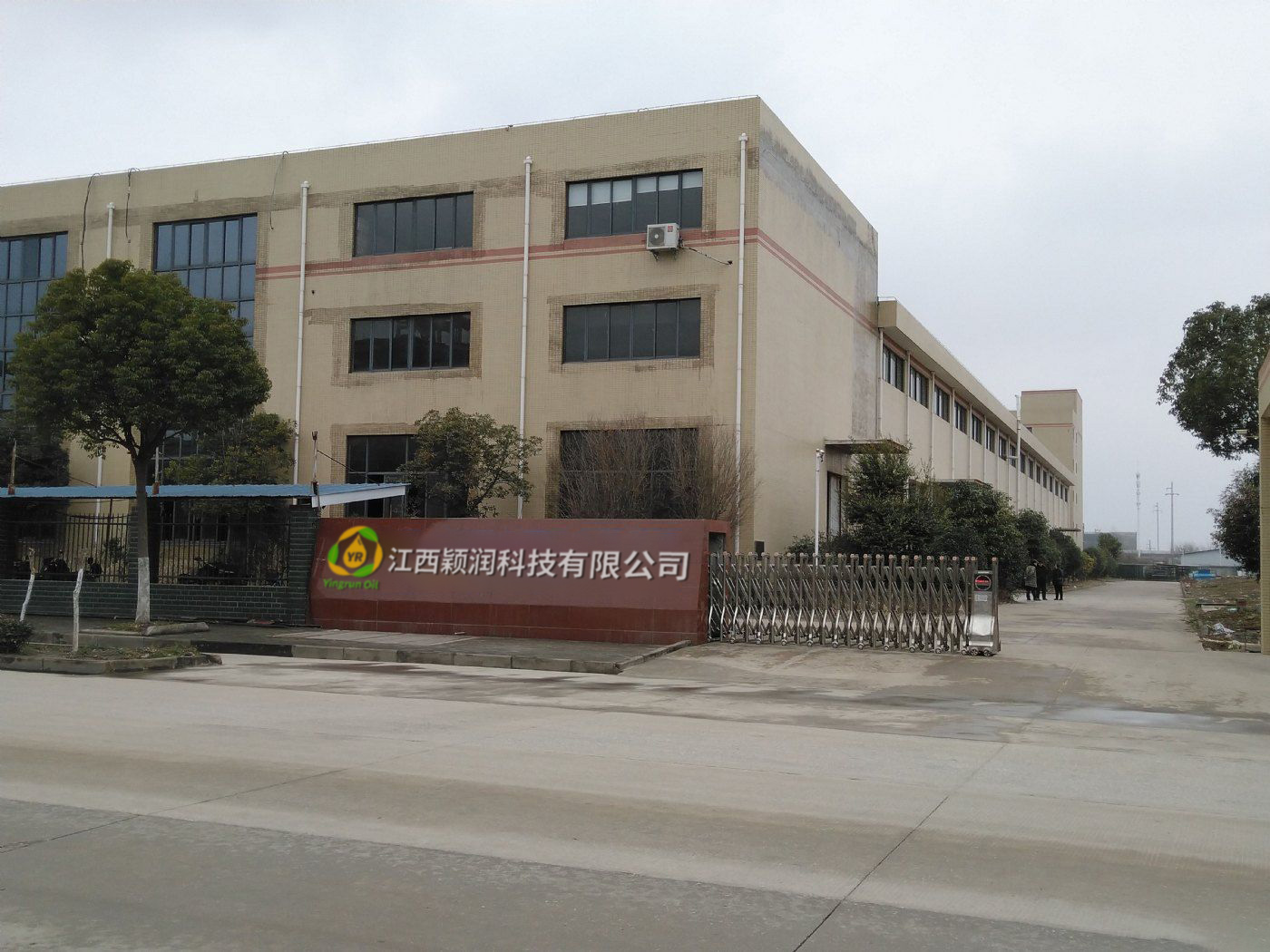 Company Office
