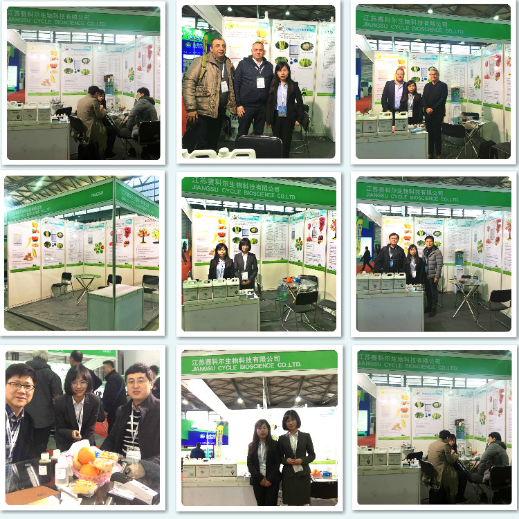 Global Exhibition Info