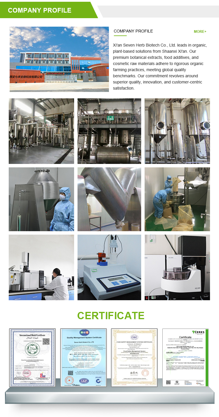 Technical Center