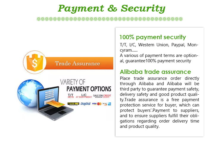 Payment Methods