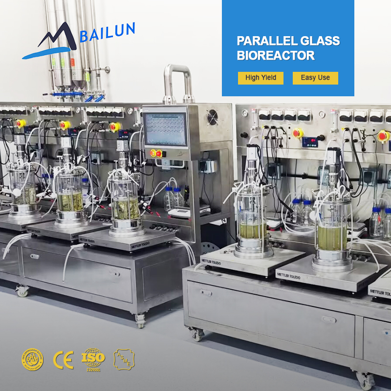 Bio-2l 7l 10l Jacket Glass Fermenter And Bioreactor Schizochytrium Sp. Anaerobio Borosilicate Glass Bioreactor Price