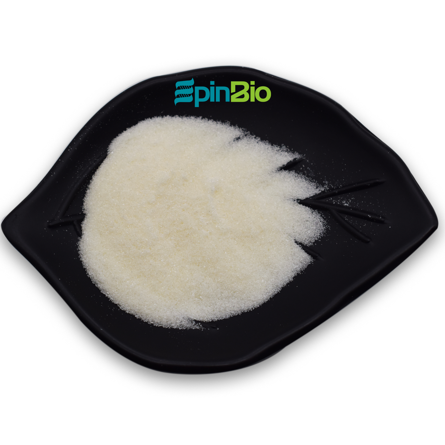 Food Grade D-Serine Supplement Organic CAS 312-84-5 Powder Syntheses Material Intermediates MOQ 1kg