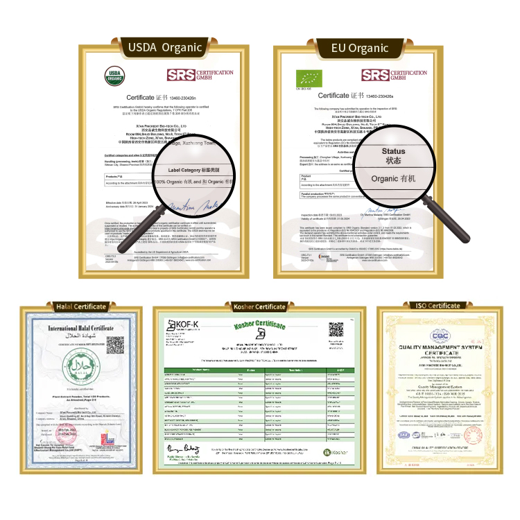 Pincredit Wholesale Epsilon Polylysine E-Polylysine Powder Natural Food Preservative Epsilon-Polylysine