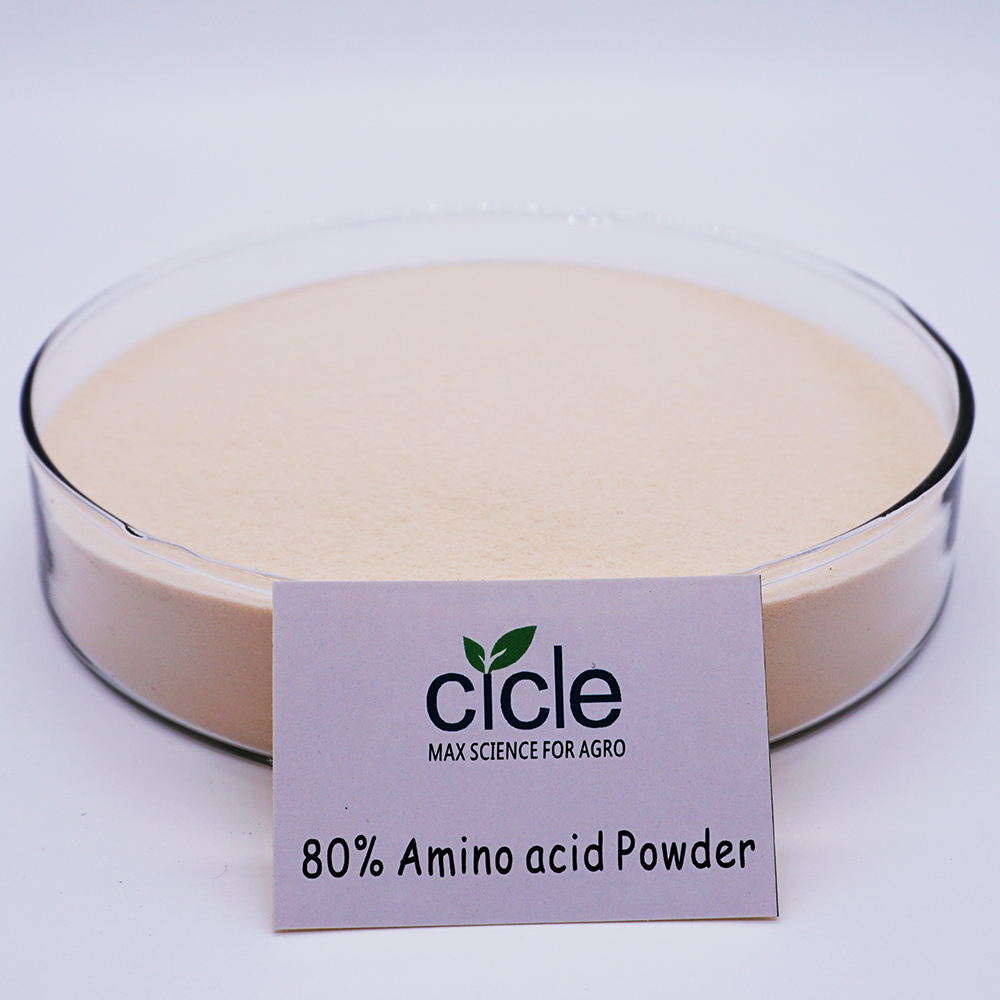 Good Market Biostimulants Compound Amino Acid 80% Quick Soluble Powder Enhance Plants Growth From Plant Source