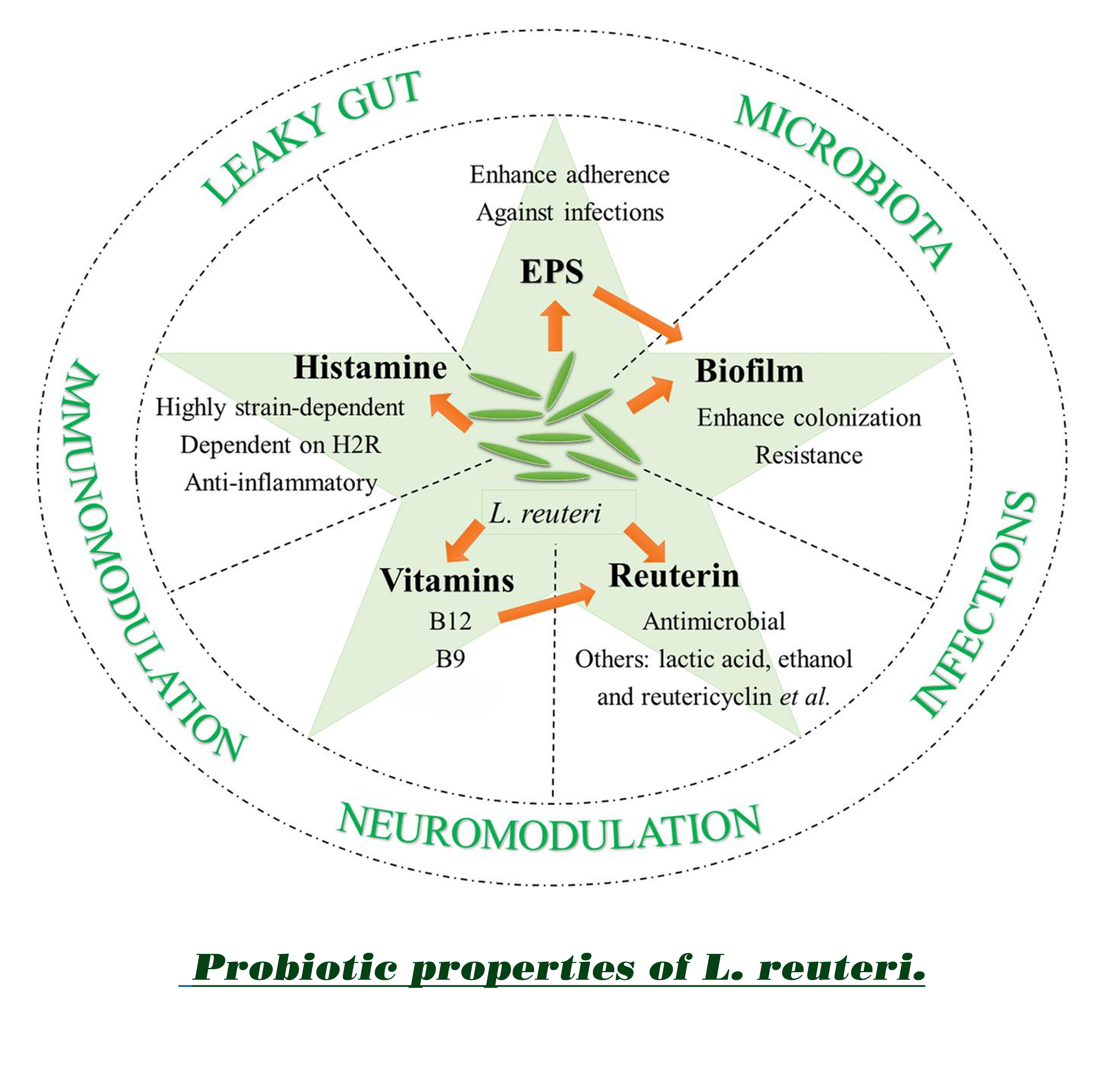 Probiotics Testing