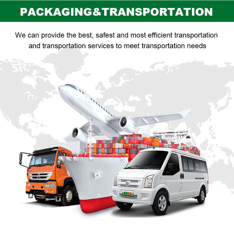 Shipping Logistics