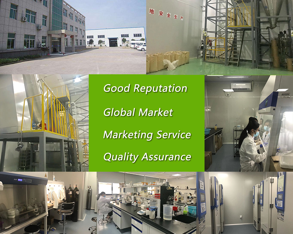 Production Facility