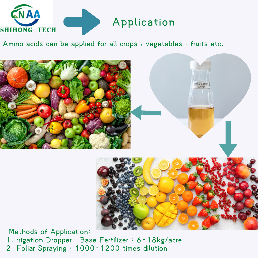 Specification Image 2