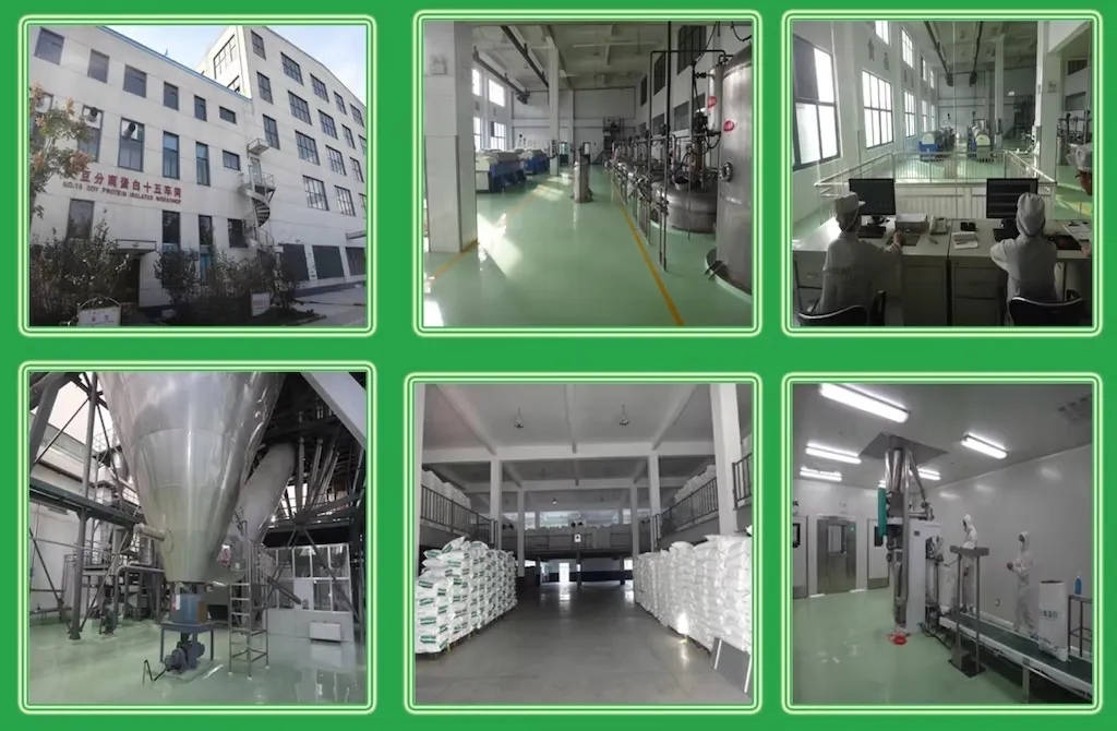 Food Additives 95% Steviol Glycosides Natural Sweetener E960 Flavor