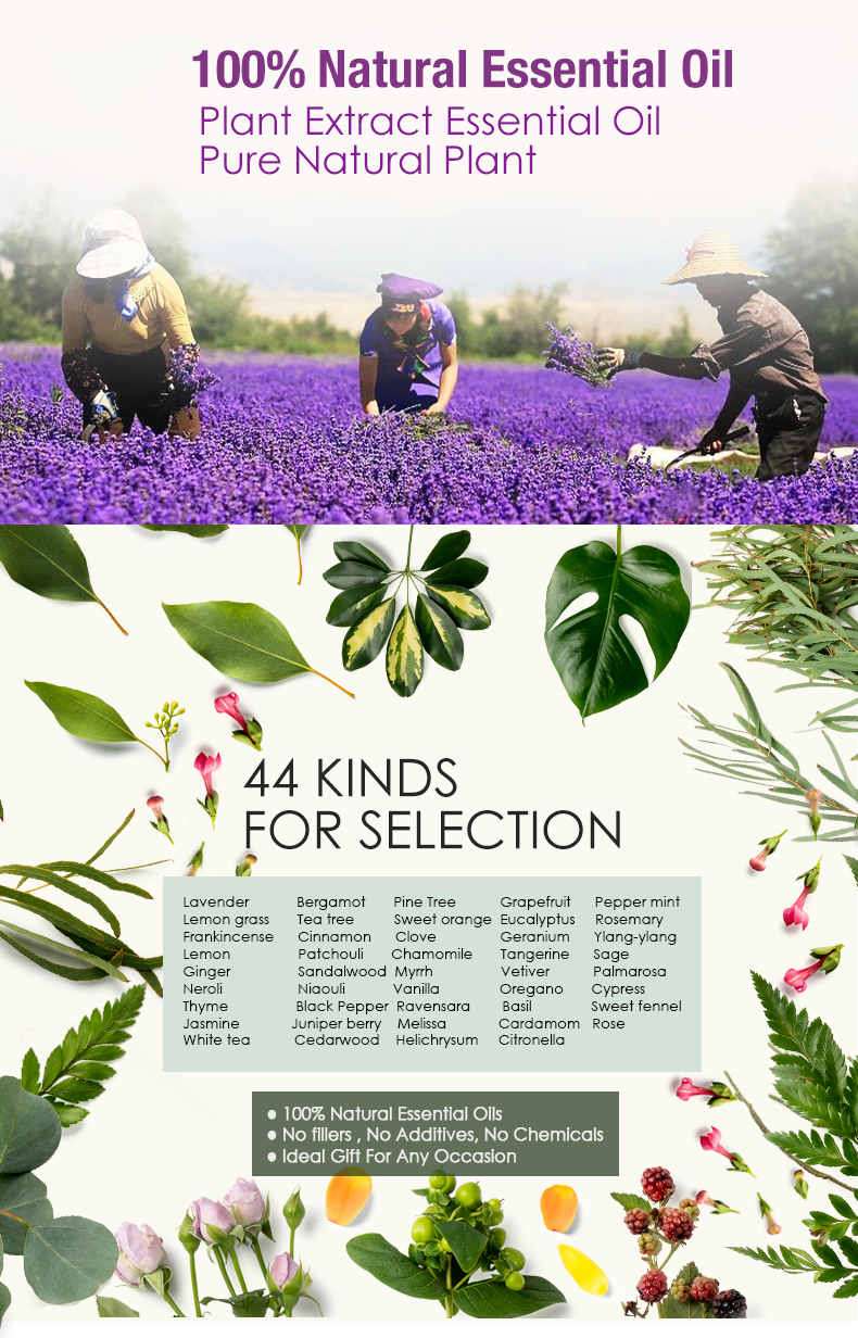 44 Herbal Flavors 100% Pure Organic Oil-Soluble Fragrance Oils for Candle and Perfume Making