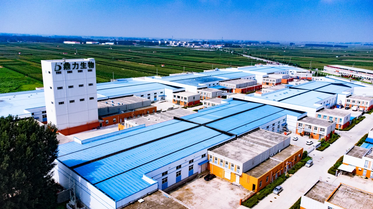 Production Facility Overview