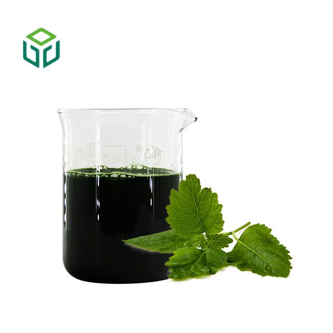 Natural Food Pigment Water Soluble 99% Sodium Copper Chlorophyll Sodium Copper Chlorophyllin Chlorophyll Powder