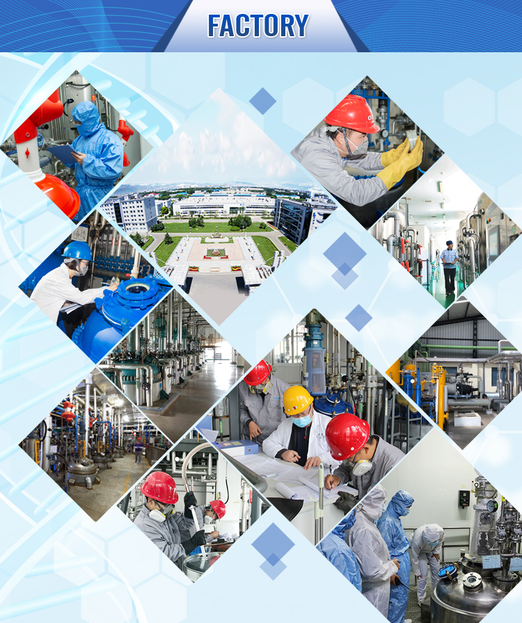 Factory Facility