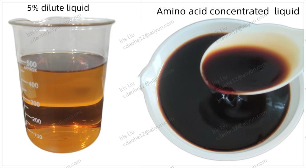 Compound Amino Acid Powder Raw Material