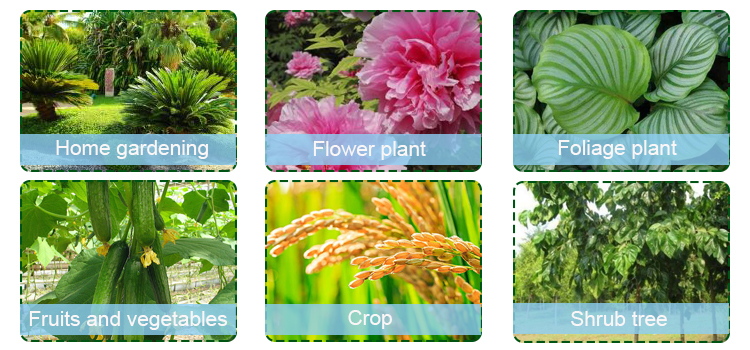 Crop Growth Display