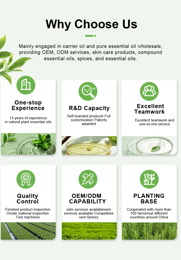 Pure Cold Pressed Garlic Oil Natural Essential Oil Top Grade Health Care Supplement Herbal Extract
