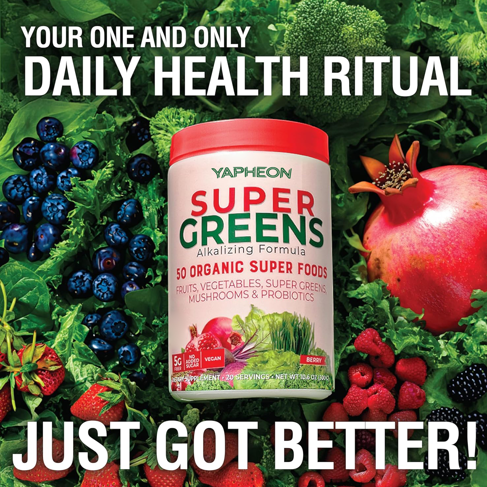 Private Label Super Food Greens Mushrooms Probiotics Powder Fiber Berry Flavor Digestive Health Immunity Support