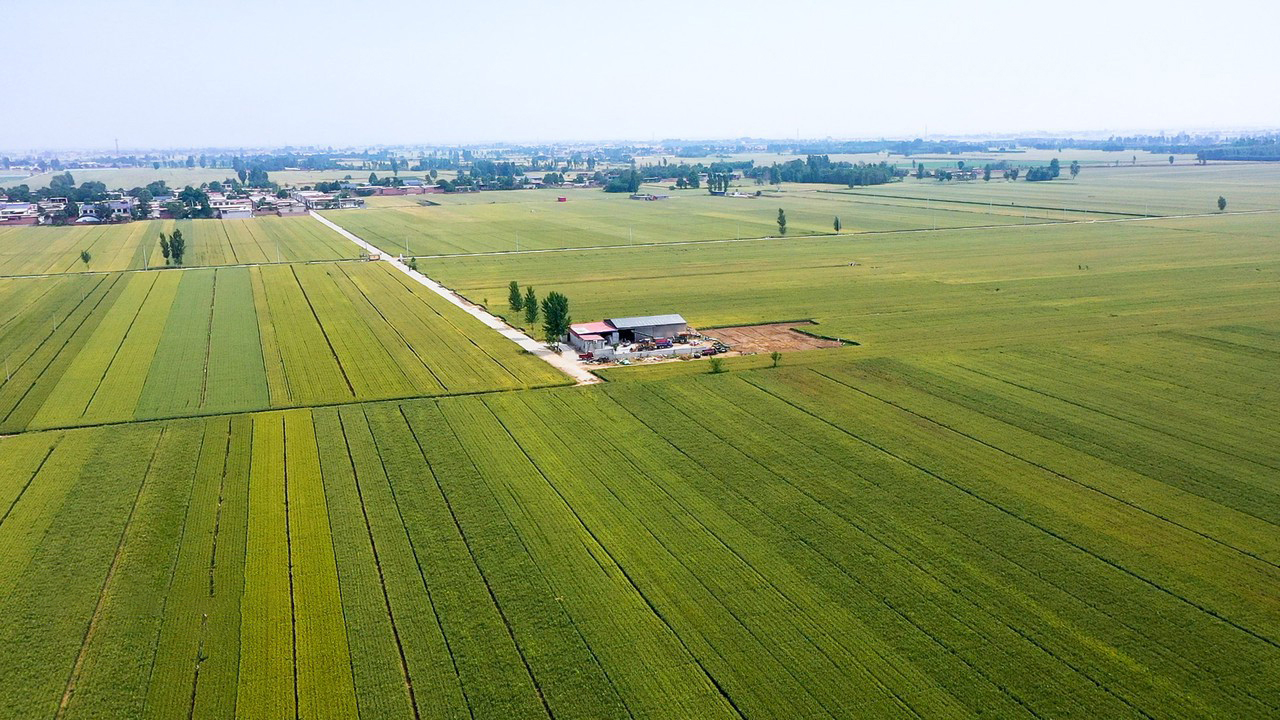 Field Crops