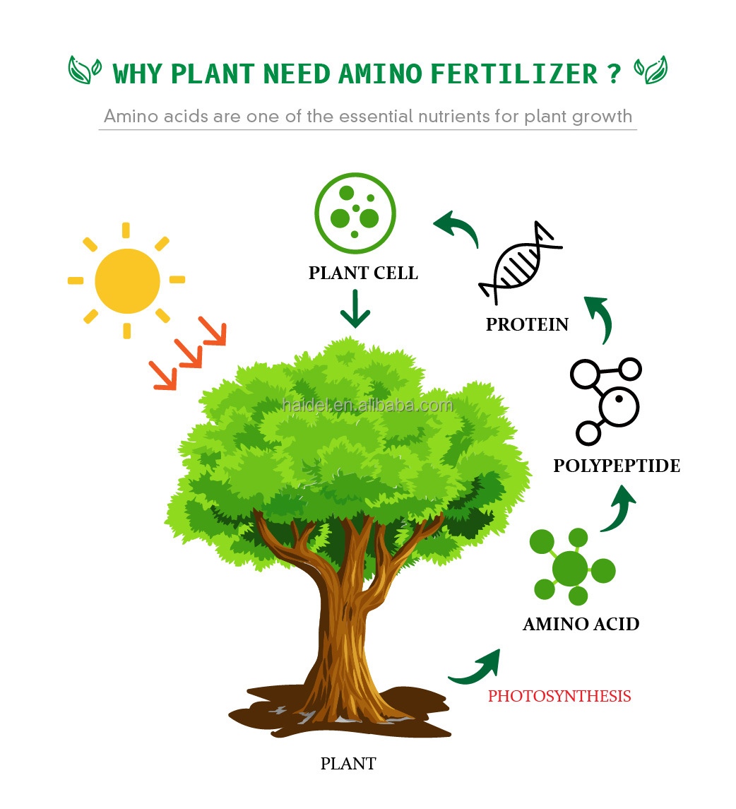 Organic fertilizer application preview 2