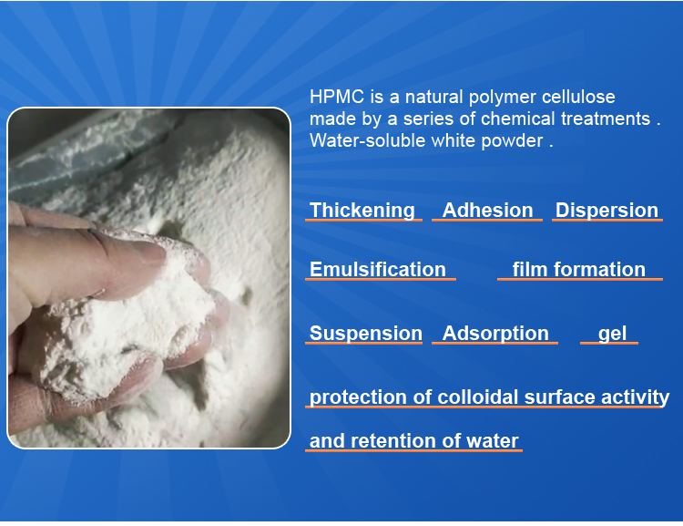 Product Details Image 2