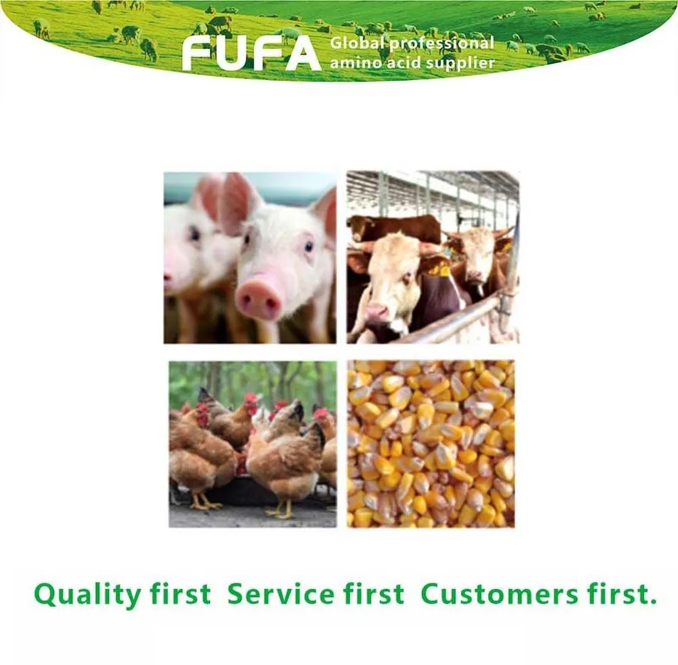Quality Control Laboratory