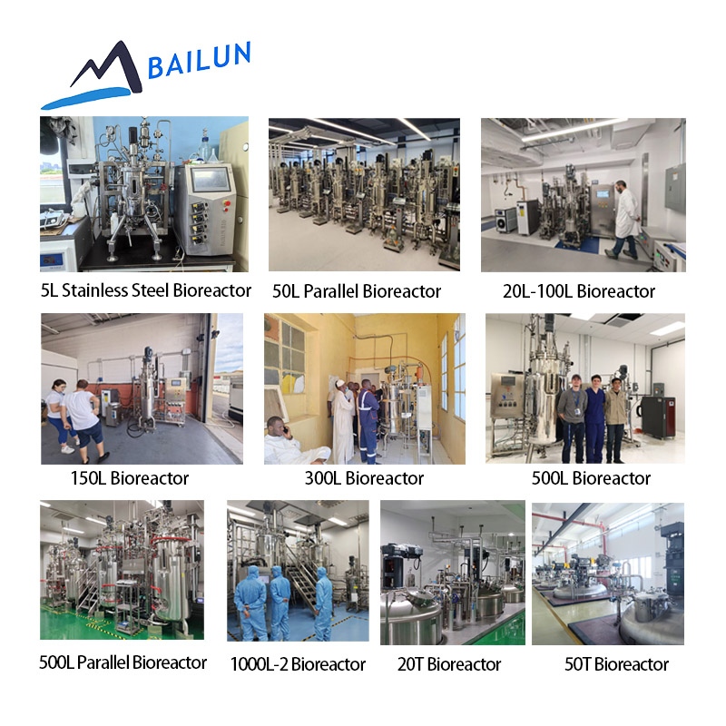 Lactobacillus Ferment Bioreactor Lysate Cosmetic Grade Fermented Skin Care Citric Acid Production Fermentation Bioreactor