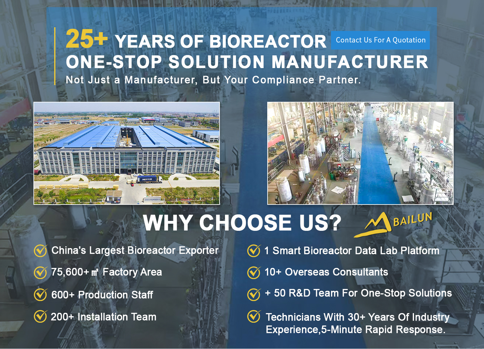 Lactobacillus Ferment Bioreactor