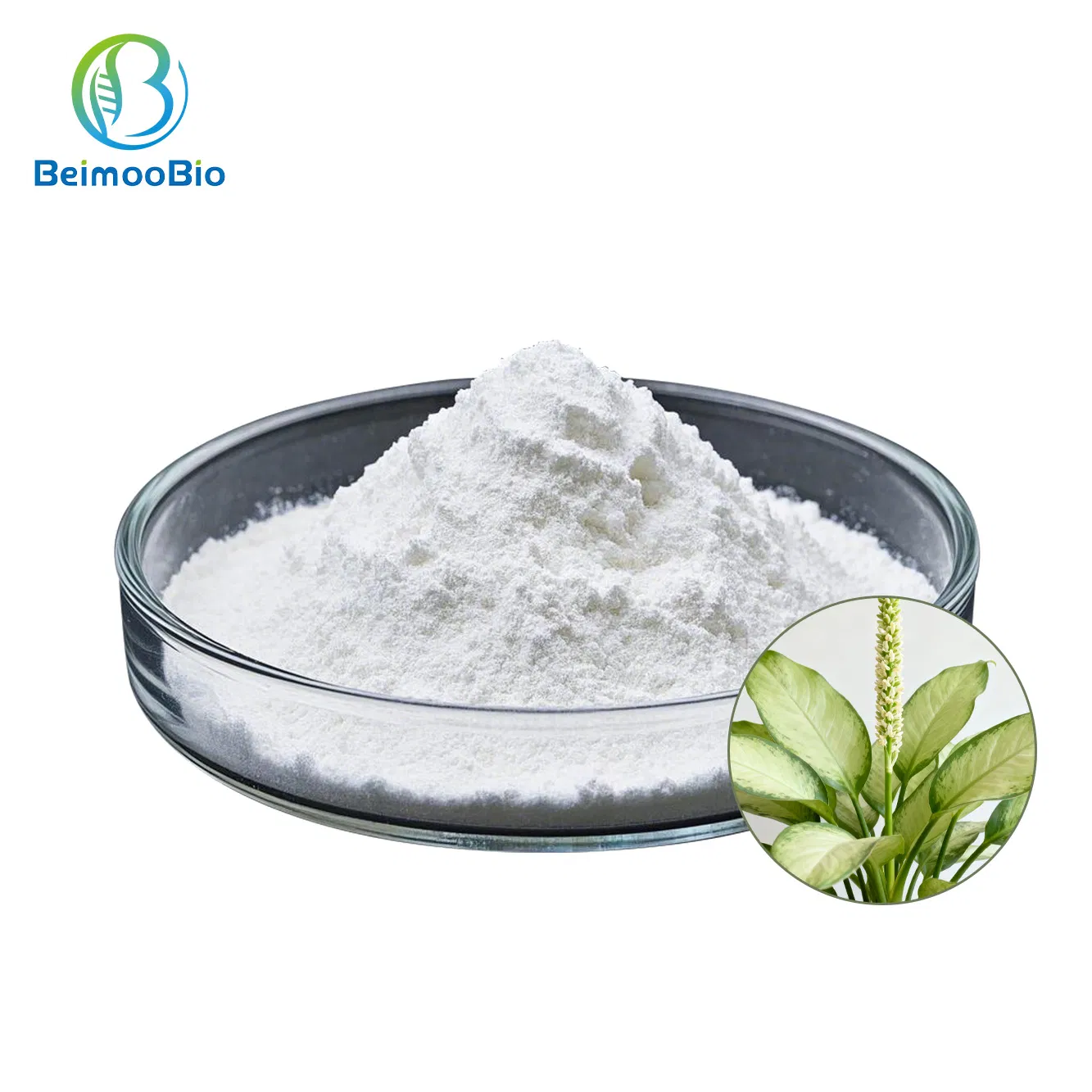 Wholesale Thaumatin High Purity 10-99% Sweetener Zero Calorie Kosher Halal Certified