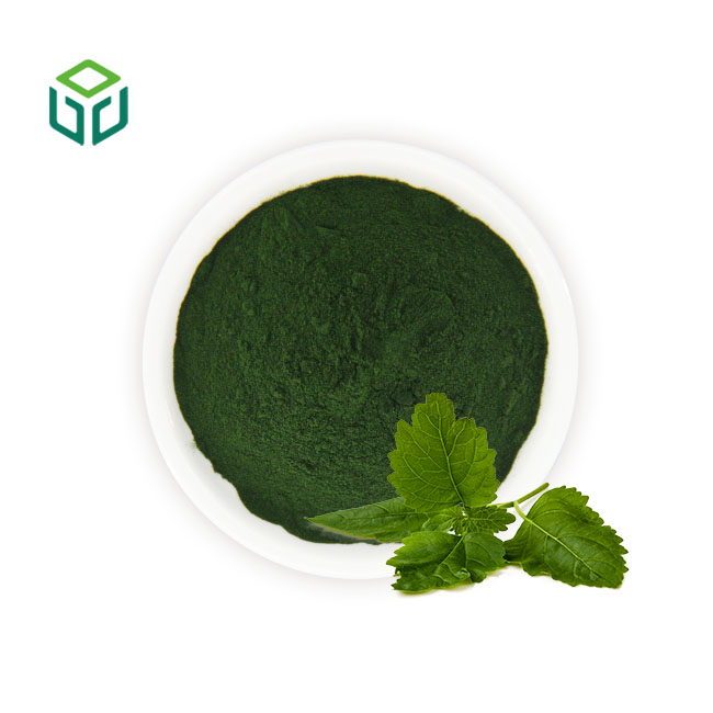 Natural Food Pigment Water Soluble 99% Sodium Copper Chlorophyll Sodium Copper Chlorophyllin Chlorophyll Powder