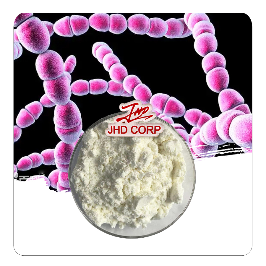 USA EU Warehouse Factory Supplies Yogurt Starter Culture Streptococcus Thermophilus Probiotics Powder 10 Billion CFU