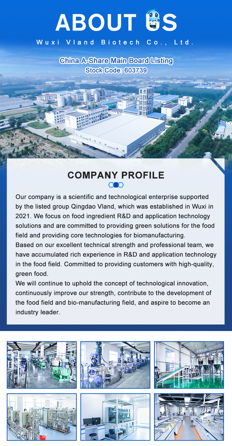 Company Overview