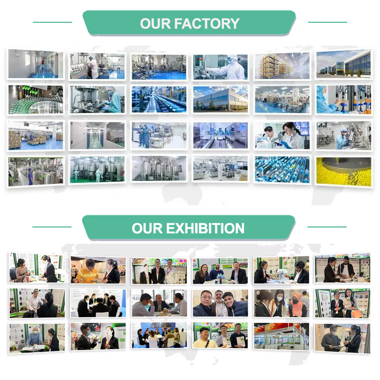 Factory Facility and Exhibition