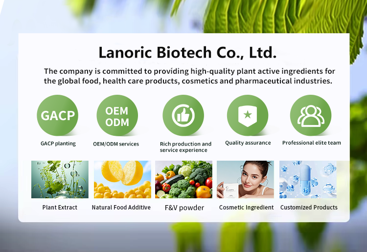Food Additives L-Alanine Powder Header