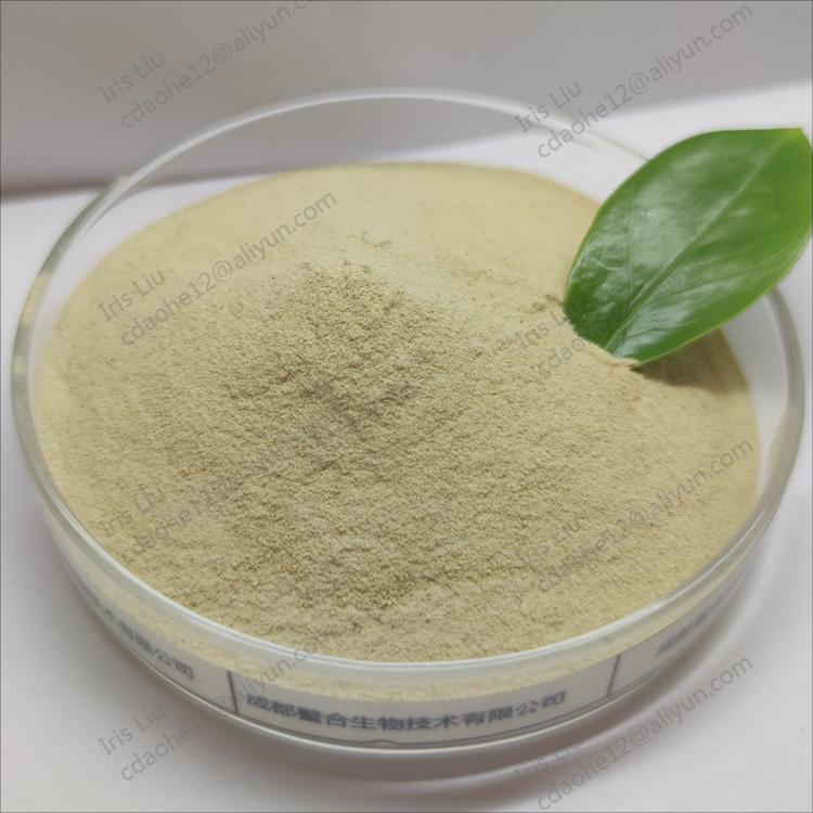 Compound Amino Acid Powder Animal Source and Plant Source Wholesale Price with Good Quality