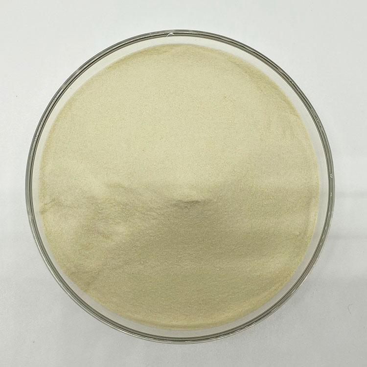 2025 Amino Acid Powder 40% Nutrients for Plants Plant-derived Foliar Fertilizer