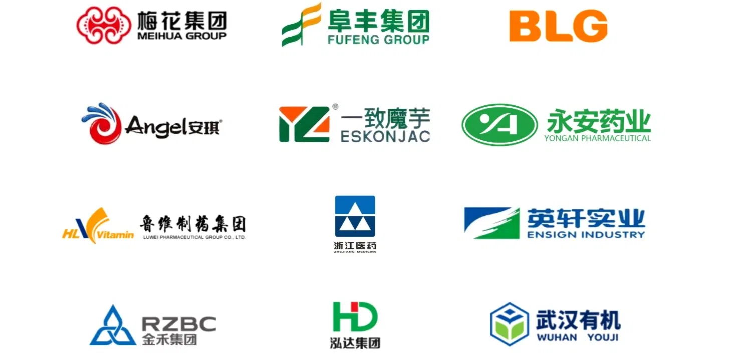 List of Our Partners and Brands