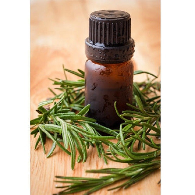 100% Pure Rosemary Essential Oil From India Vegan and Herbal Body Oil with Anti-Aging Feature OEM Bottle Supply for Adults