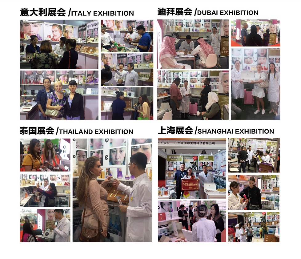 Exhibition Booth