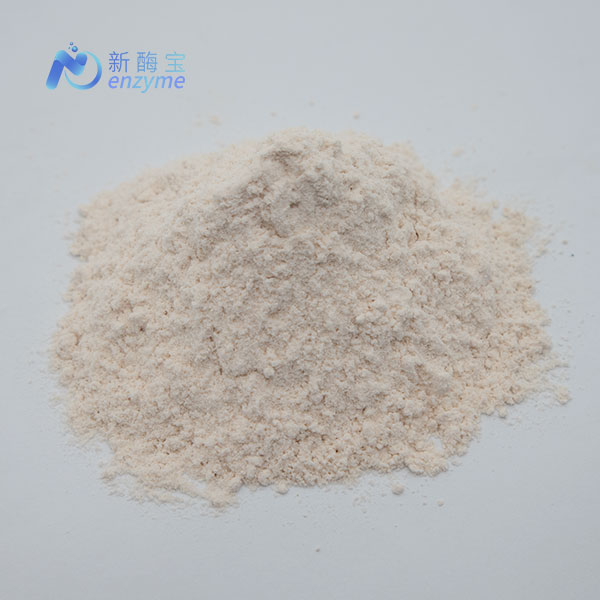 Novenzyme Supply Bulk Natural Food Preservative Nisin Powder E234