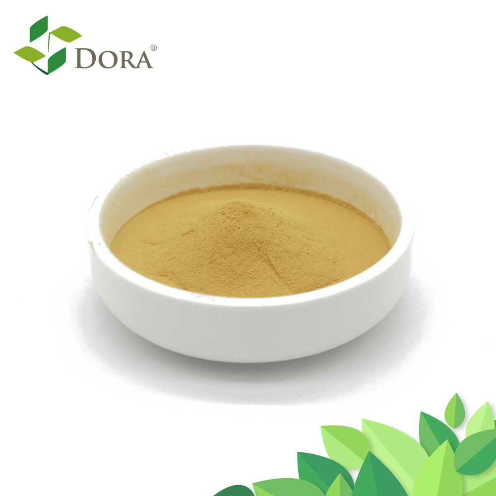 Chitosan Oligosaccharide