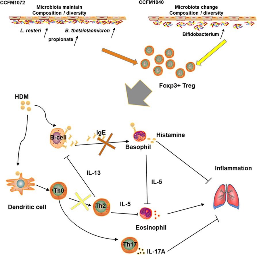 Clinical Evidence Graph