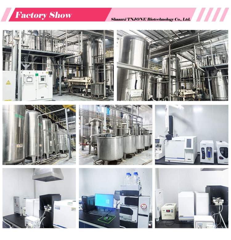 Factory Profile