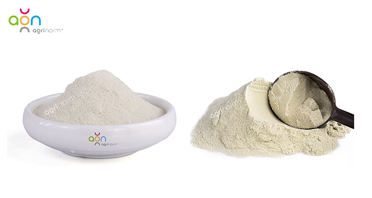 Product Overview