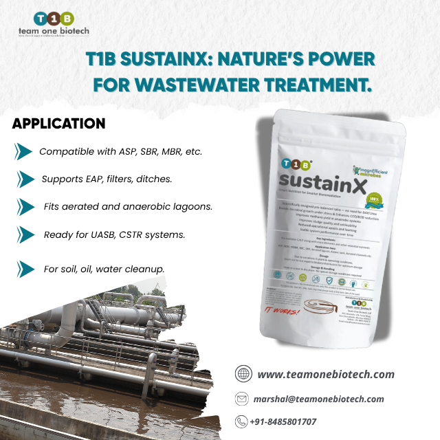 Natural Probiotics Nutrient Culture for Effective Biological Treatment Systems