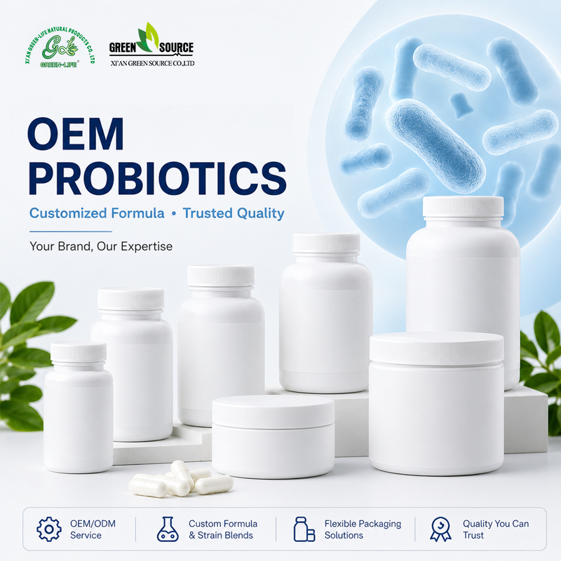 Streptococcus Thermophilus Probiotic Powder 200B CFU g High Activity Dairy Starter Culture Bulk Supplier