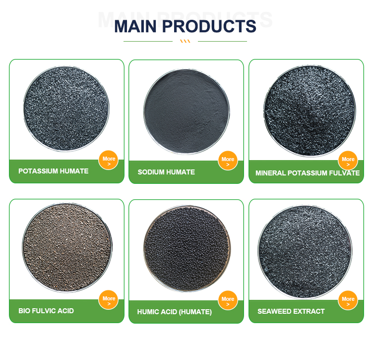 Recommend Products Guide