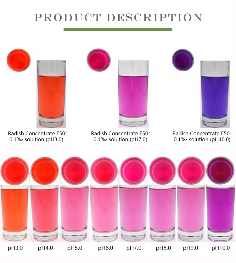 100% Natural Plant Extract Powder Radish Red Pigment for Food Color